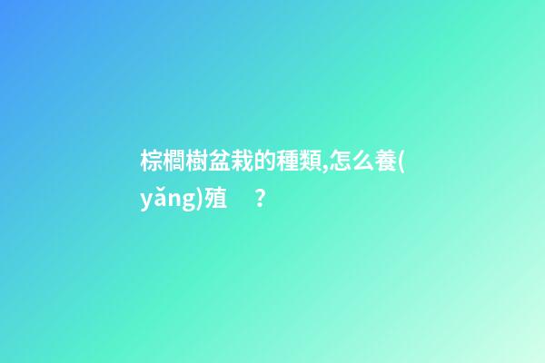 棕櫚樹盆栽的種類,怎么養(yǎng)殖？